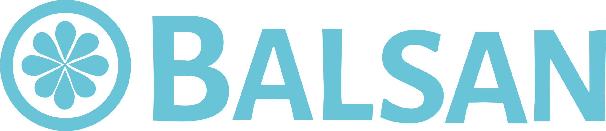 Balsan Corp